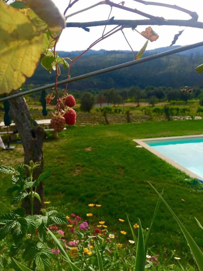 Quinta Da Aranha * Arcos de Valdevez