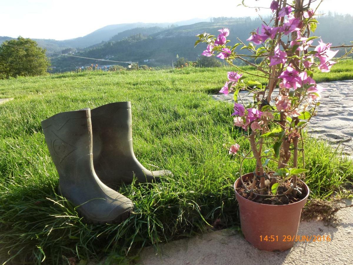 Holiday home Quinta Da Aranha *